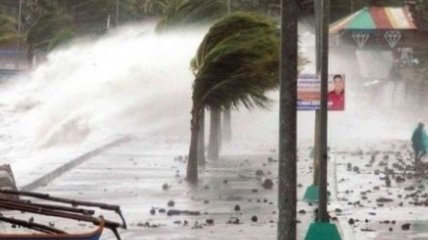 В Японии бушует тайфун "Чаба": отмено 85 авиарейсов