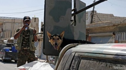 В Сирии от ИГИЛ освобождены еще 3 населенных пункта