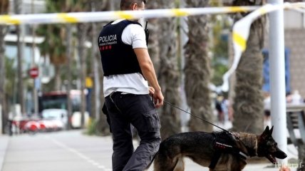 Испания и Франция разыскивают предполагаемого исполнителя теракта в Барселоне