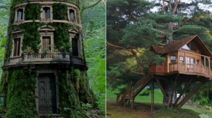 Дома на деревьях, о которых вы наверняка мечтали в детстве (Фото) 