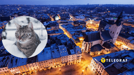 У Харків йдуть найсильніші морози січня: до чого готуватися і коли