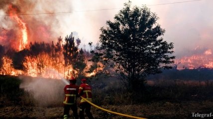 В Португалии возникли новые лесные пожары