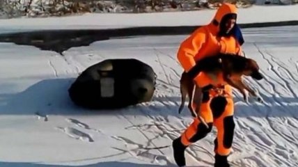 На Полтавщине спасатели вытащили собаку из замерзшей реки