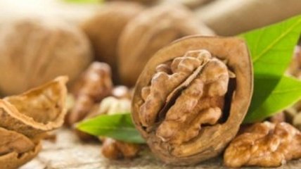 Грецкие орехи помогут замедлить старение