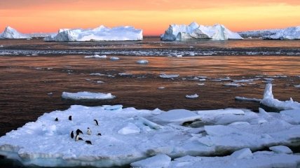 Ученые обеспокоены стремительным таянием ледников 