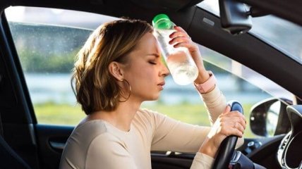 Пережить жару в машине можно и без помощи кондиционера