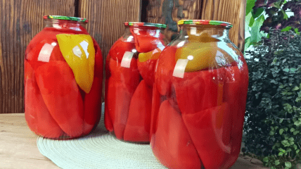 Заготовка перца для фарширования