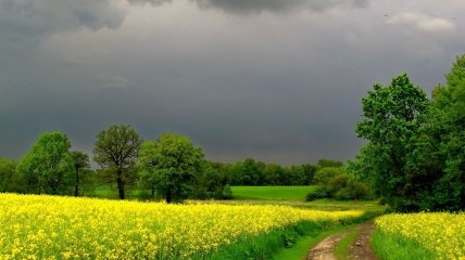 Нетипичное лето-2024 на фоне погодных рекордов: народный синоптик дал подробный прогноз