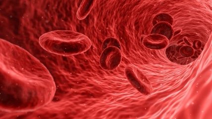 Влияет ли группа крови на характер человека?