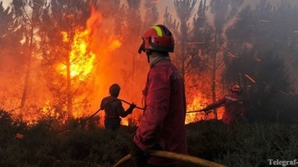 В Португалии горят леса