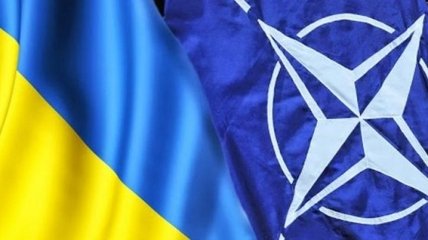 В Украине 28 боевых подразделений ВСУ подготовлены по стандартам НАТО