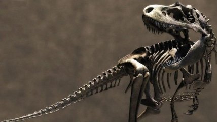 Уникальный скелет динозавра выставят на торги  