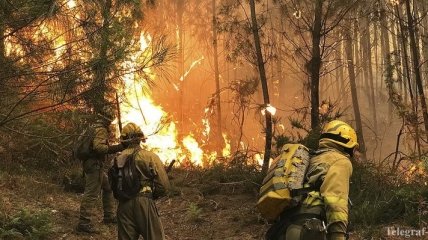 Португалия в огне: количество жертв растет