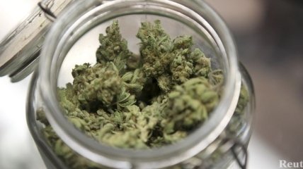 Правительство Грузии может легализовать марихуану