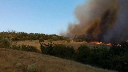 Масштабный лесной пожар на Херсонщине: горит почти 40 гектаров