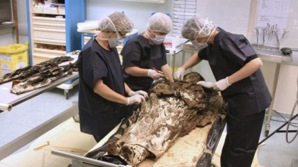 Ученые: мумии расскажут о рационе древнего человека