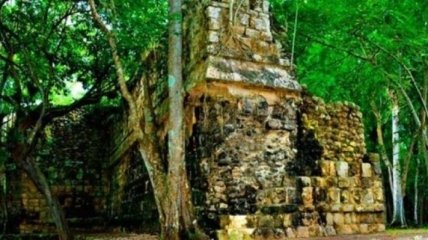  В джунглях Мексики нашли огромный дворец майя (Видео)