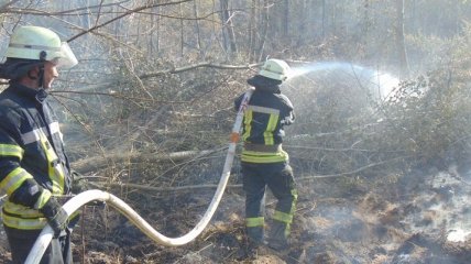 Рятувальники продовжують ліквідацію пожежі у лісах Луганщини