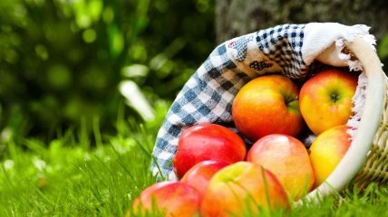 Яблочный спас: история праздника и традиции