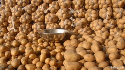 РФ запретила импорт картофеля с Украины