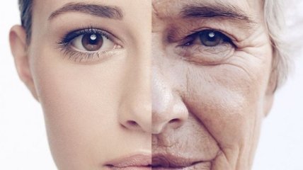 Как замедлить старение: объяснение ученых 