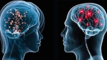 Найдена новая разница между мужским и женским мозгом