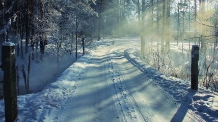 Погода в Украине на 24 января: морозы, небольшой снег