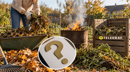 Убирать нужно с умом
