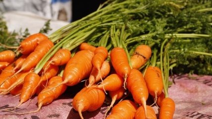 Названо 5 причин начать регулярно есть морковь