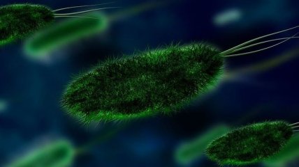Микробы и органические соединения могут выживать в космосе 