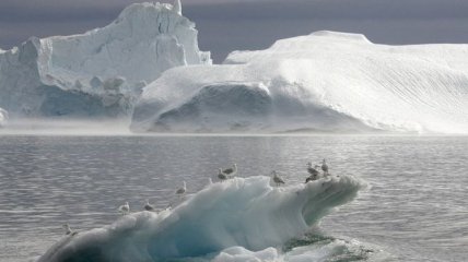 NASA сообщило, что Гренландию поедает "Ледяной червь"