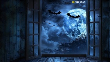 Портал к таинственному миру (фото создано с помощью ИИ)