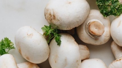 Эта закуска украсит любой праздничный стол⁣: диетолог Светлана Фус рассказала, как приготовить фаршированные грибы 