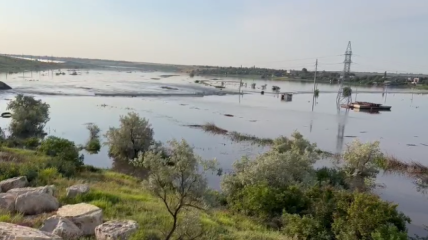Затоплен мост возле села Нововасилевка