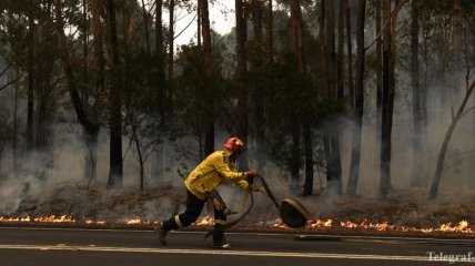 Масштабный лесной пожар бушует в Новой Зеландии