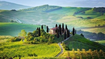 Буйствующие зеленью и пахнущие вином пейзажи Тосканы (Фото) 