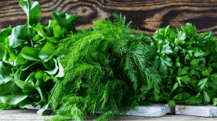 Свіжий кріп