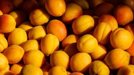 Медики рассказали, в каких случаях вредно есть абрикосы