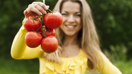 Урожайность томатов зависит от качества роста и развития растений
