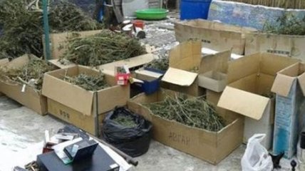 У жителя Запорожья изъяли наркотиков более чем на 400 тысяч гривен
