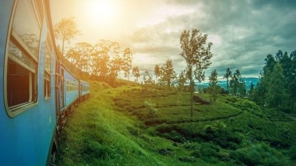 Шри-Ланка открывает границы: что важно знать туристам