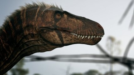 Одним динозавром меньше: ученые усомнились в существовании нанотиранов 