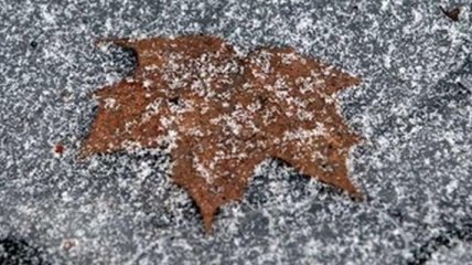 Погода в Украине на 2 декабря: Весь день будет идти мокрый снег 