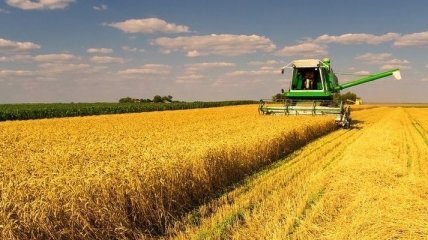 ГФС Украины отчиталась о легальных продажах сельхозпродукции украинцев