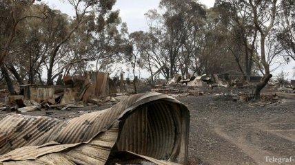 Практически ничего не осталось: пожары в Австралии уничтожили городок близ Сиднея