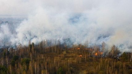 Збитки від пожежі у Чорнобильській зоні оцінюють у десятки мільйонів