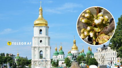 Погода в Украине