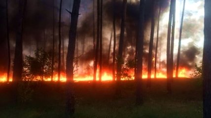 В Харьковской области горит лес