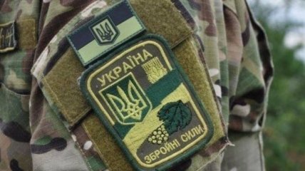 В Минобороны планируют развернуть дополнительный батальон ВСУ на Закарпатье 
