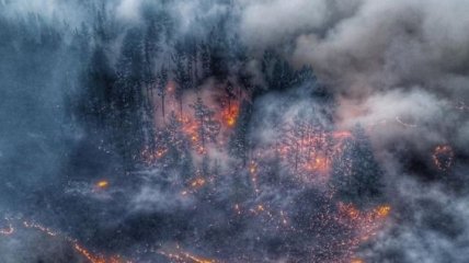 Специалисты нашли способ тушения пожаров в Сибири